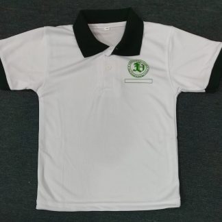 PE T-Shirt - Fernvale Primary School