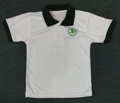 PE T-Shirt - Fernvale Primary School
