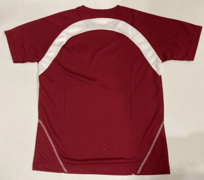 PE T-Shirt - Northland Secondary School - Image 3