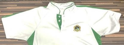 Unisex House PE T-Shirt - North Vista Primary School - Image 5