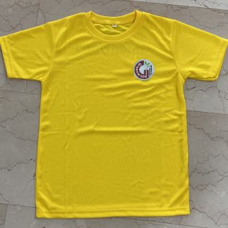 PE T-Shirt (Yellow) - Greenwood Primary School