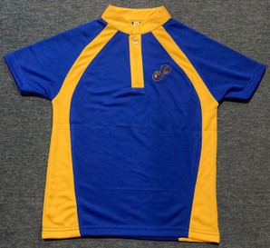Primary 1 - Primary 6 Polo Tee - Fuchun Primary School